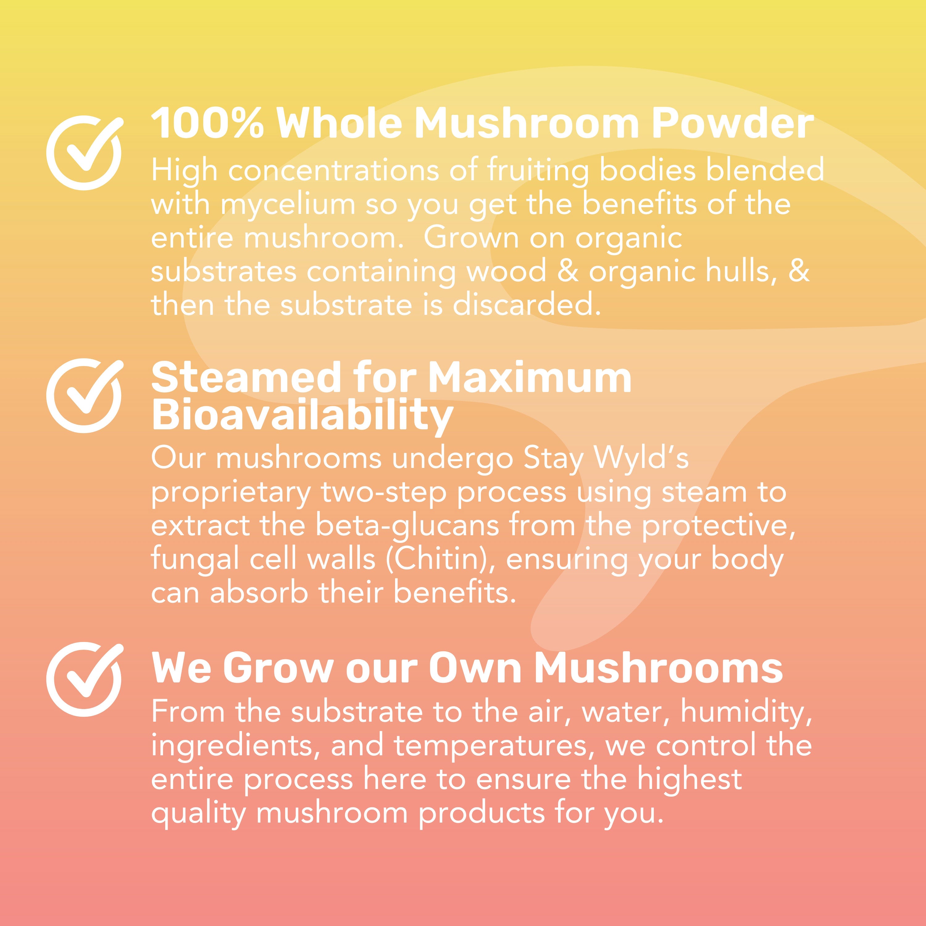 LST : Thé liquide aux champignons
