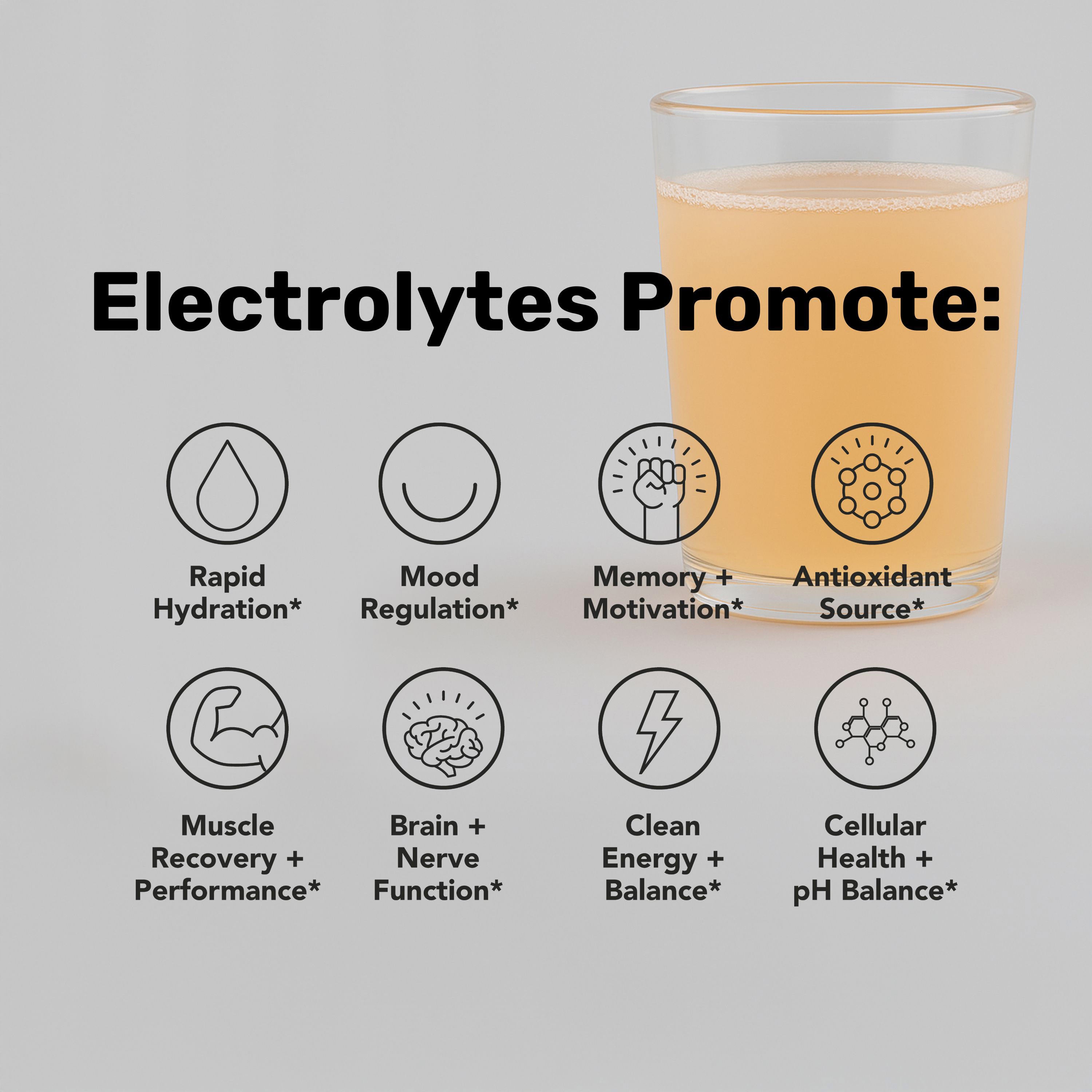 The Full Charge - Energize + Hydrate Drink Bundle