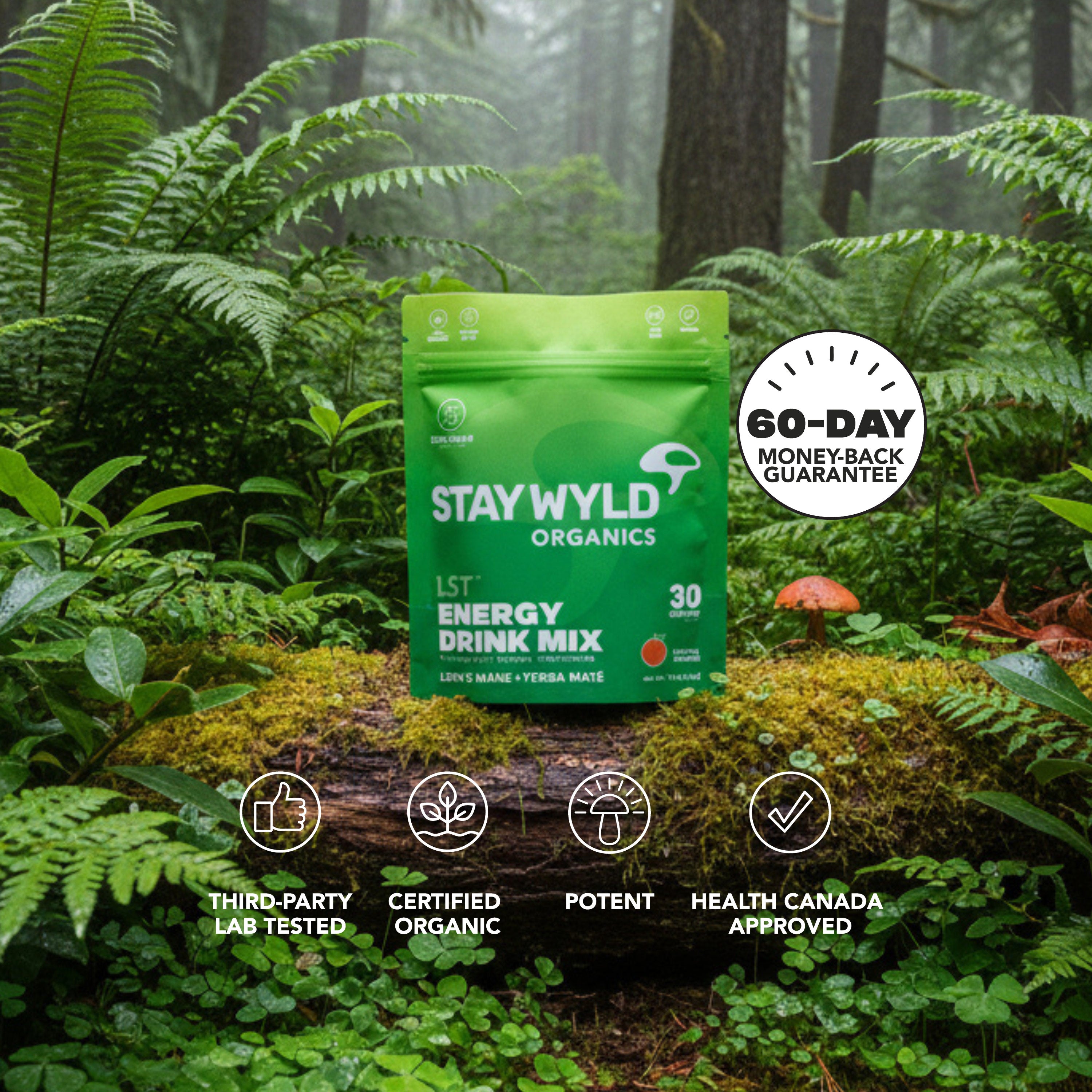 Lion’s Mane with Yerba Maté Ice Tea - LST (Liquid Shroom Tea) | Stand-up Pouch