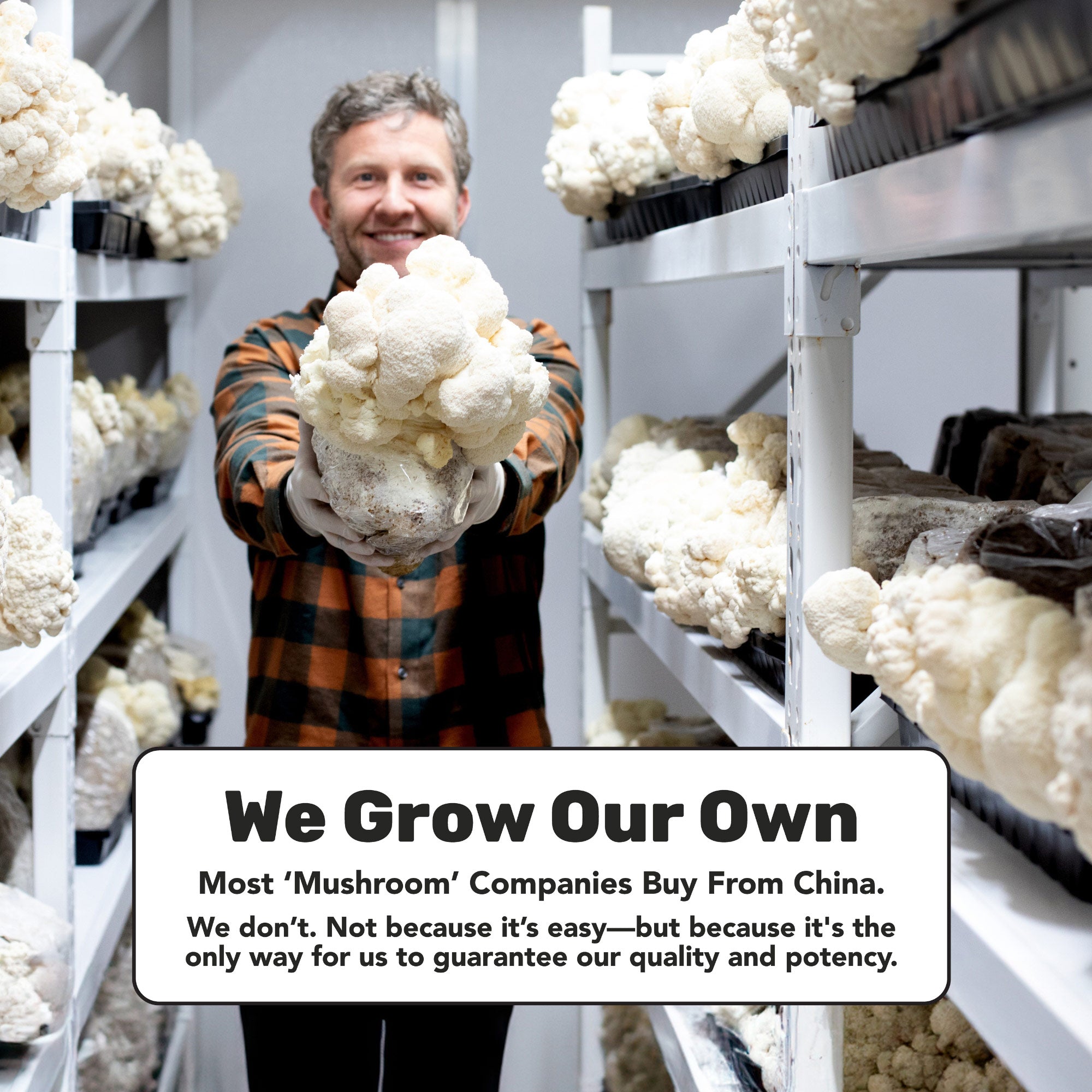 LST Energy Strips | 30 Pack