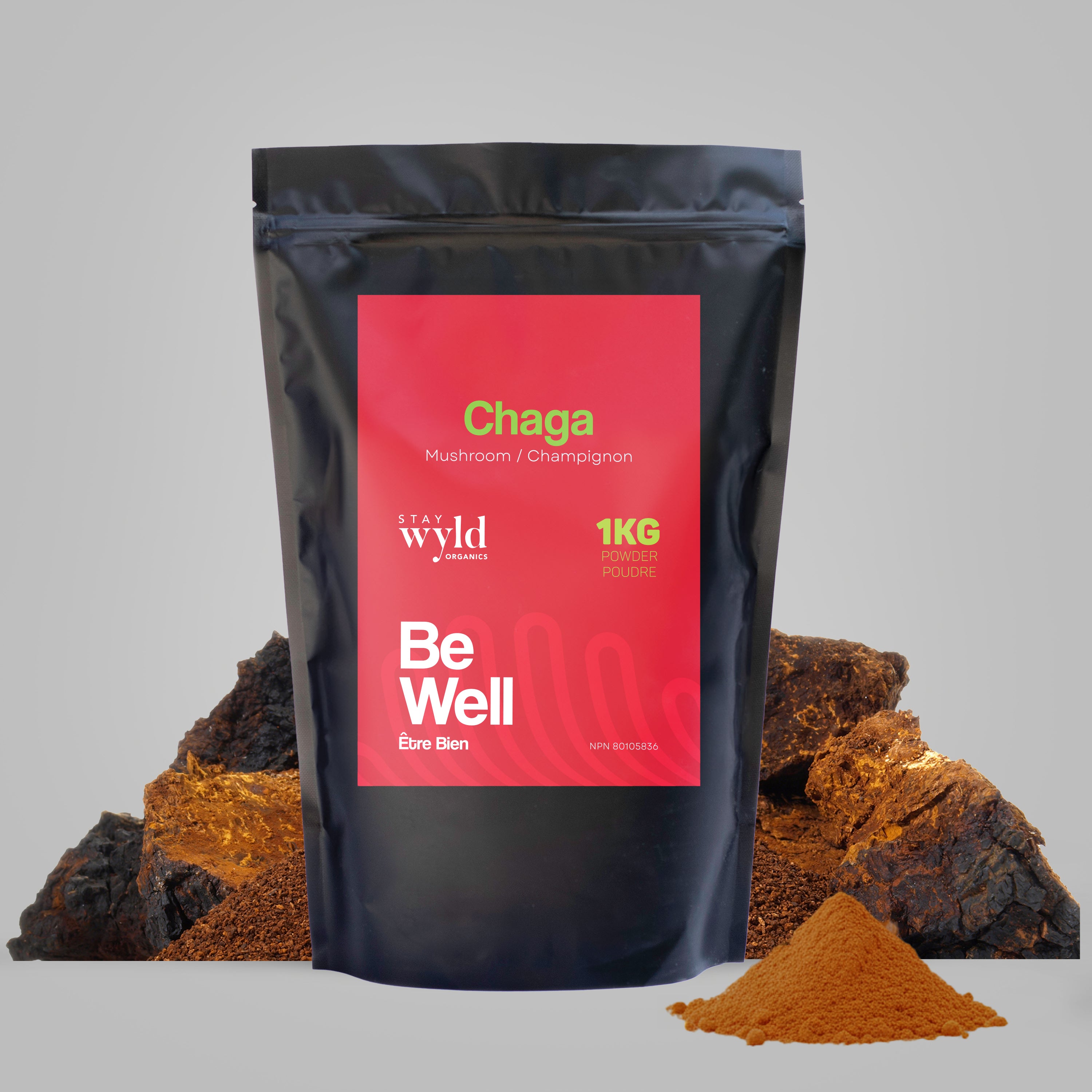 Poudre de champignon Chaga en vrac (1kg)