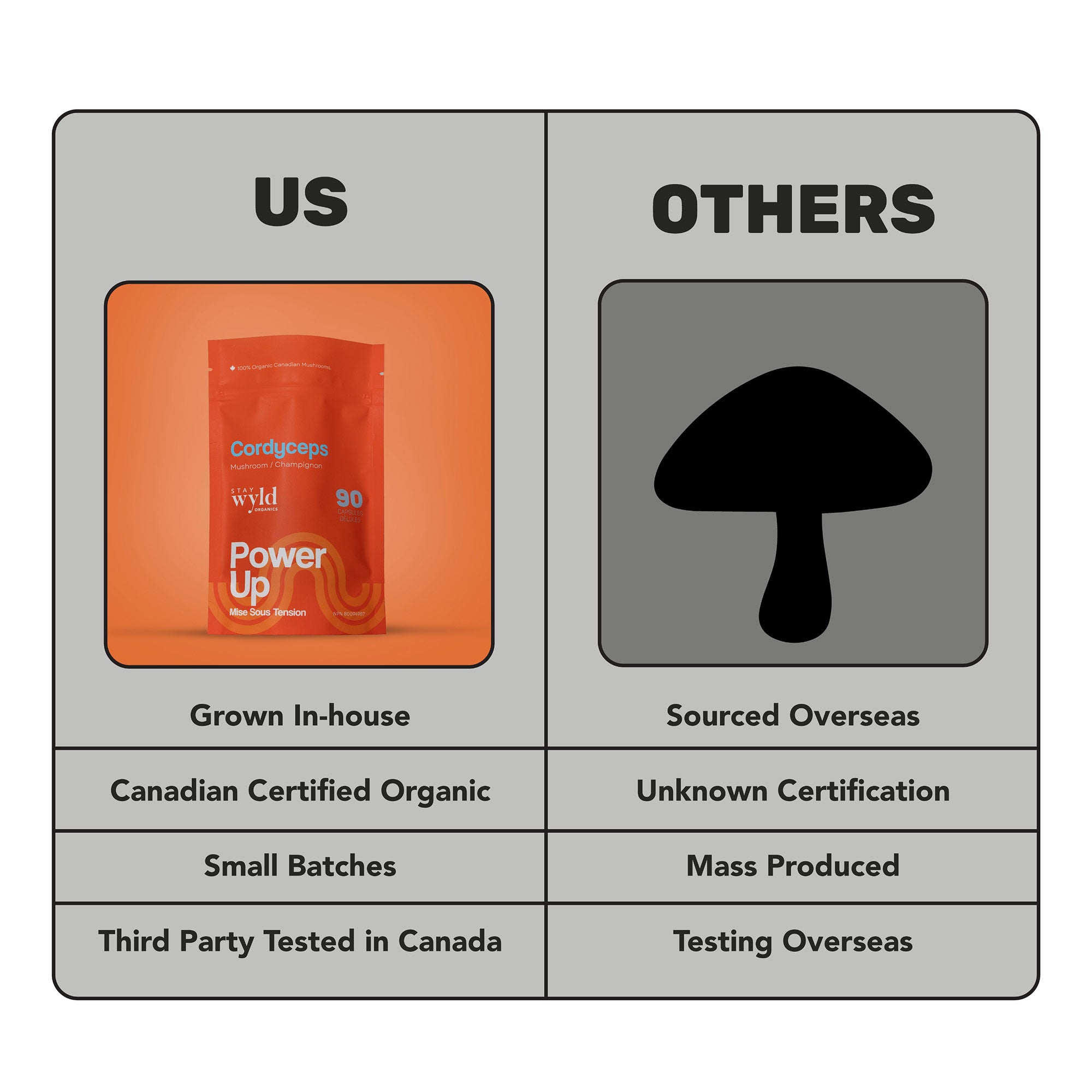Gélules de champignons Cordyceps
