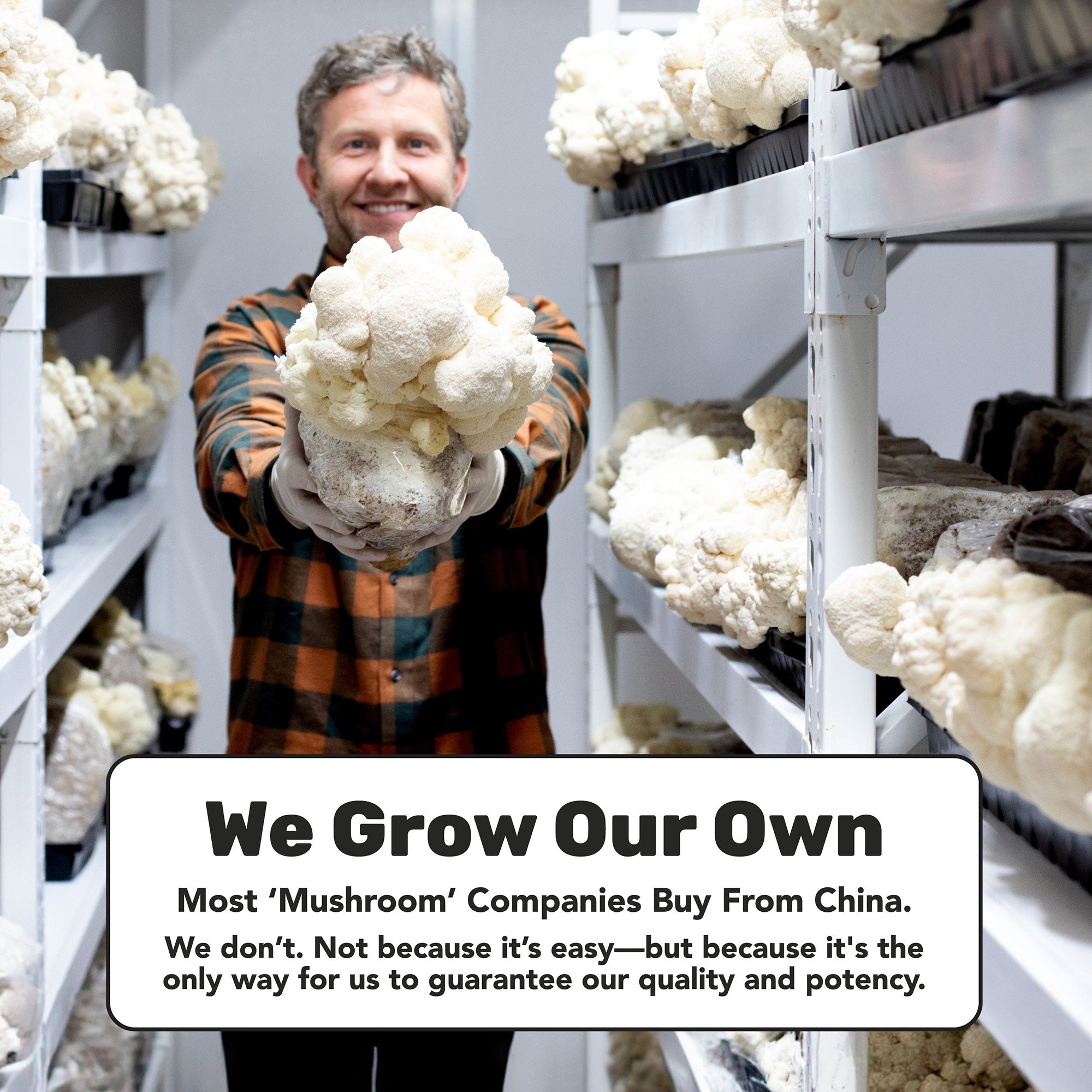 Daily Immunity 5-Blend Capsules