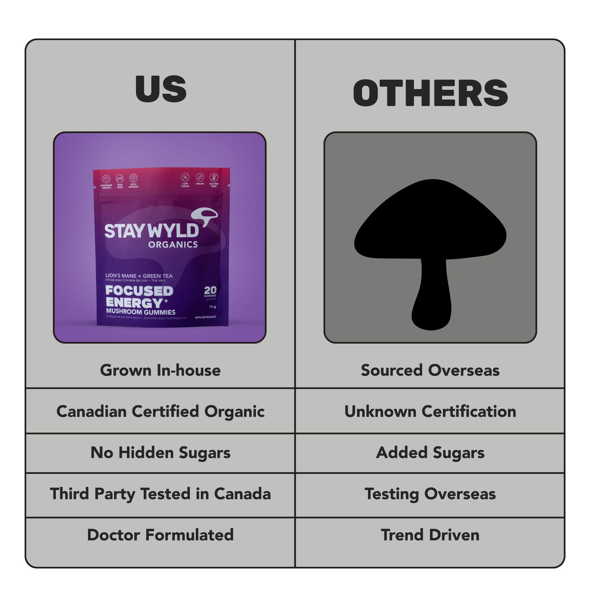 Focused Energy Gummies | 20 pack