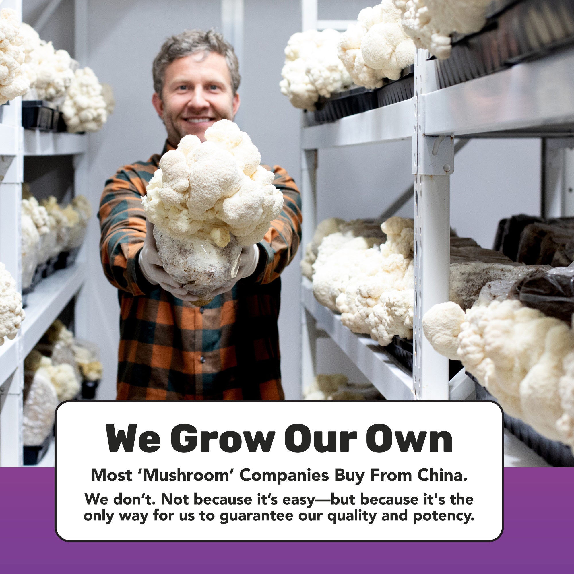 Focused Energy Gummies | 20 pack