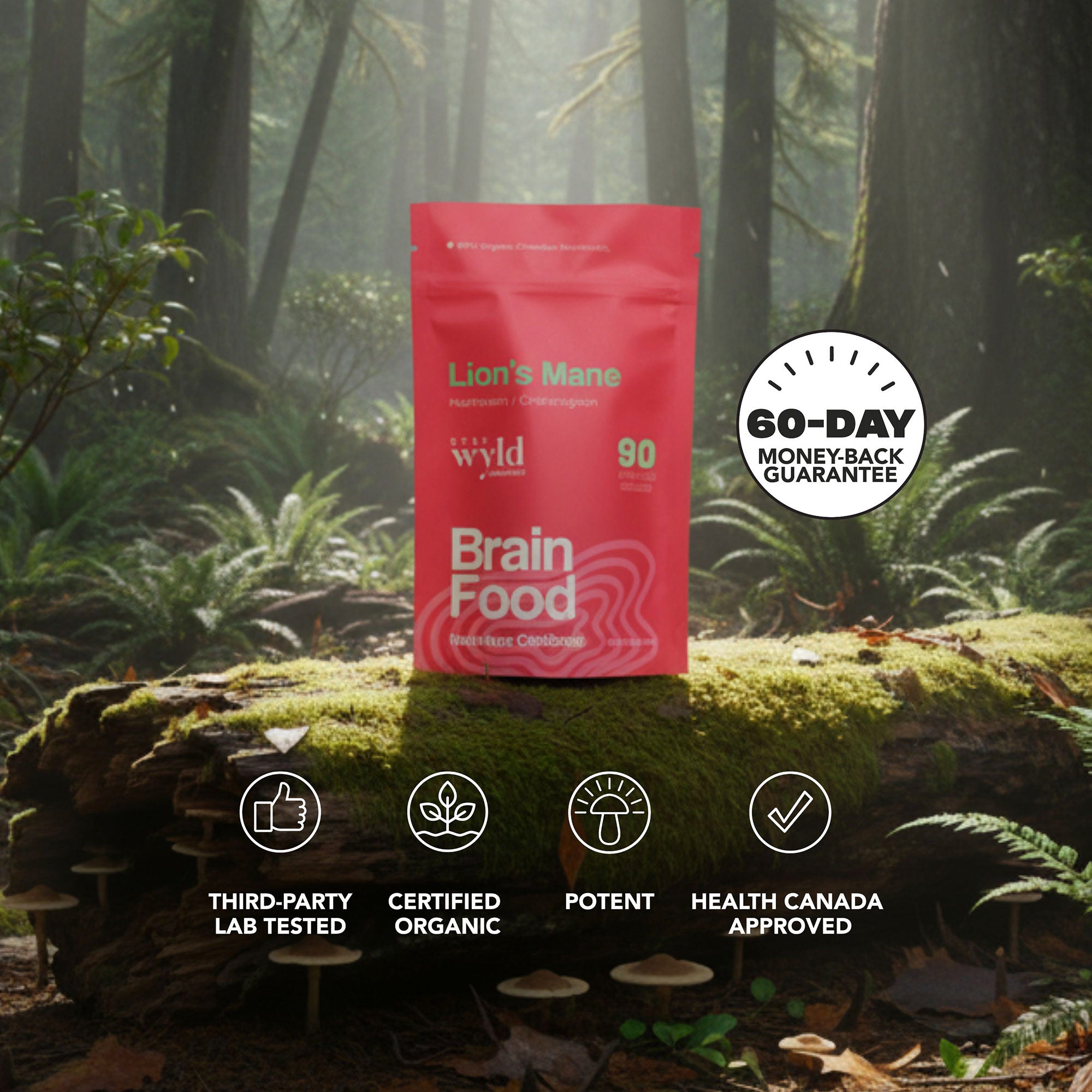 Lion's Mane Mushroom Capsules