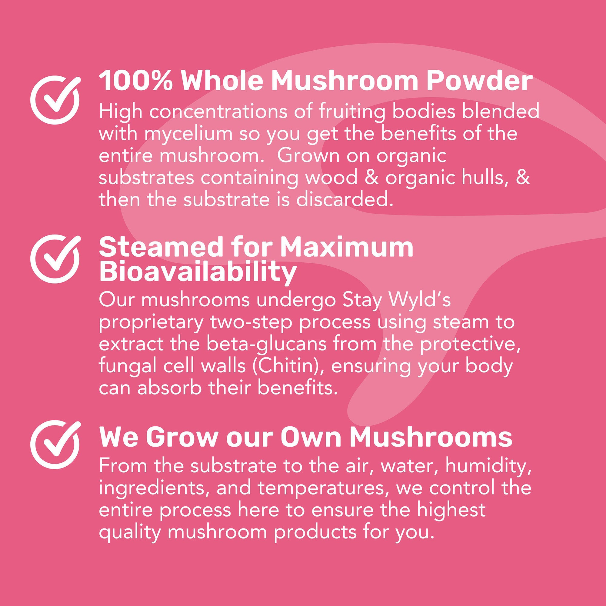 Lion's Mane Mushroom Capsules