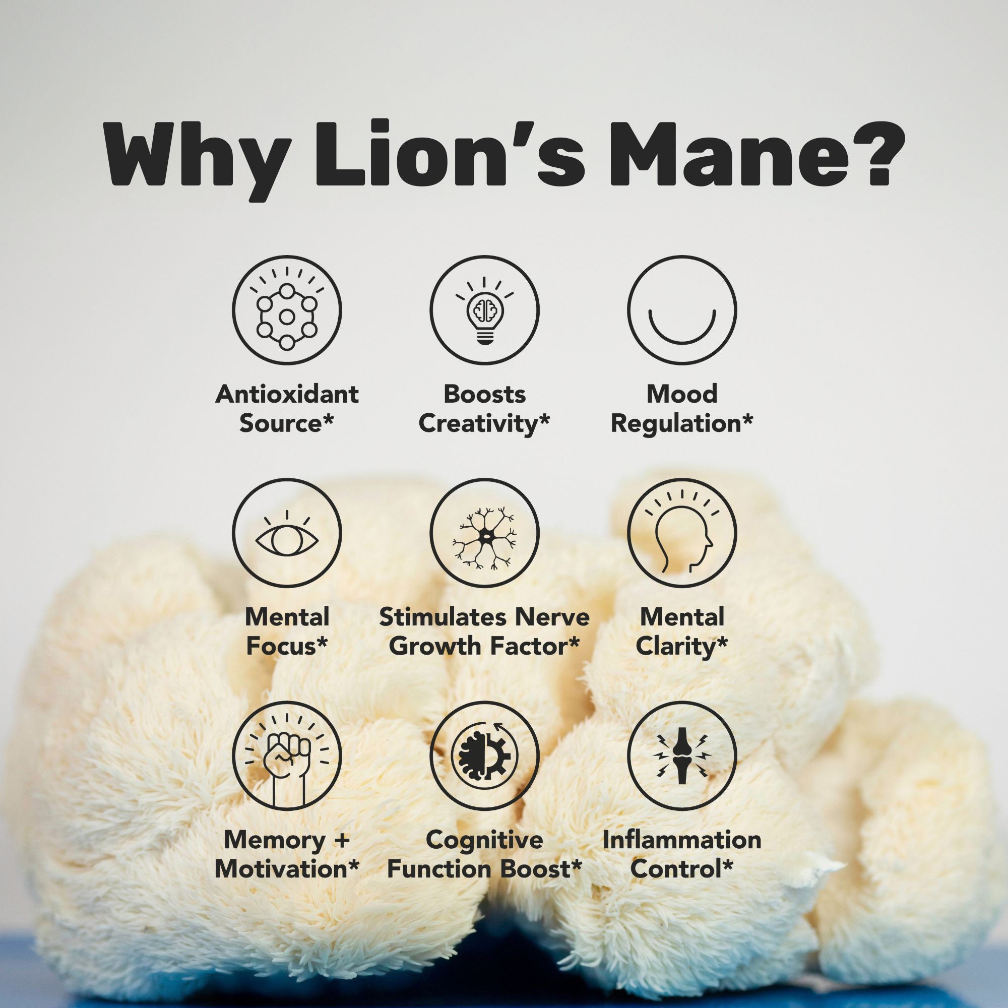 Lion's Mane Mushroom Gummies | 30 pack