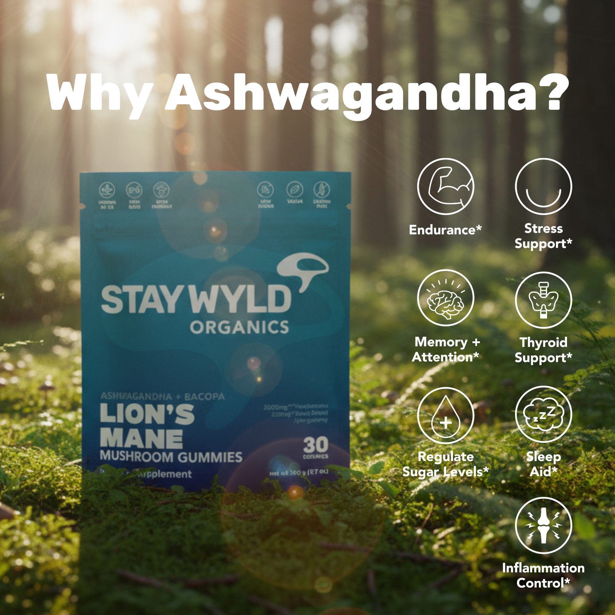 Lion's Mane Mushroom Gummies | 30 pack