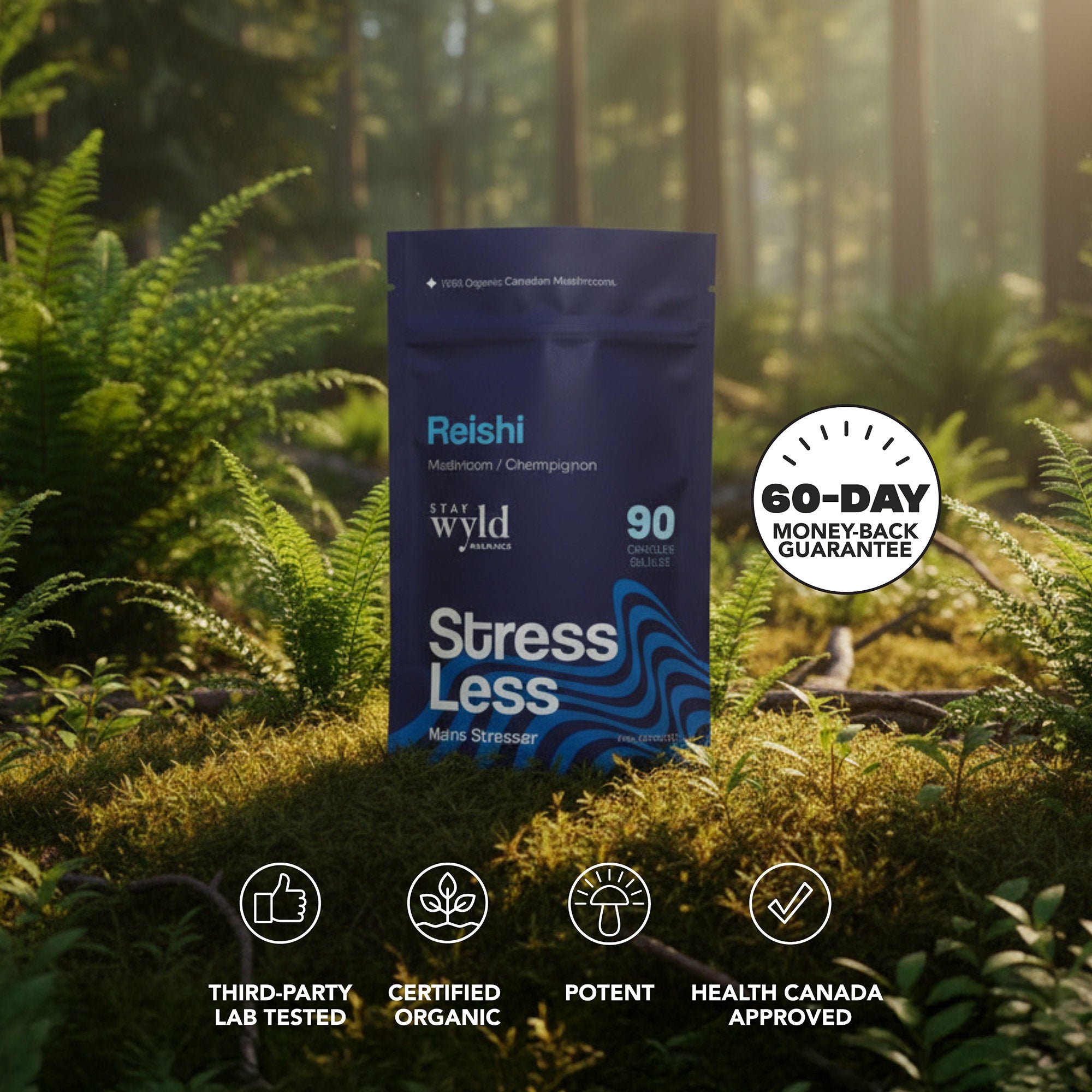 Reishi Mushroom Capsules