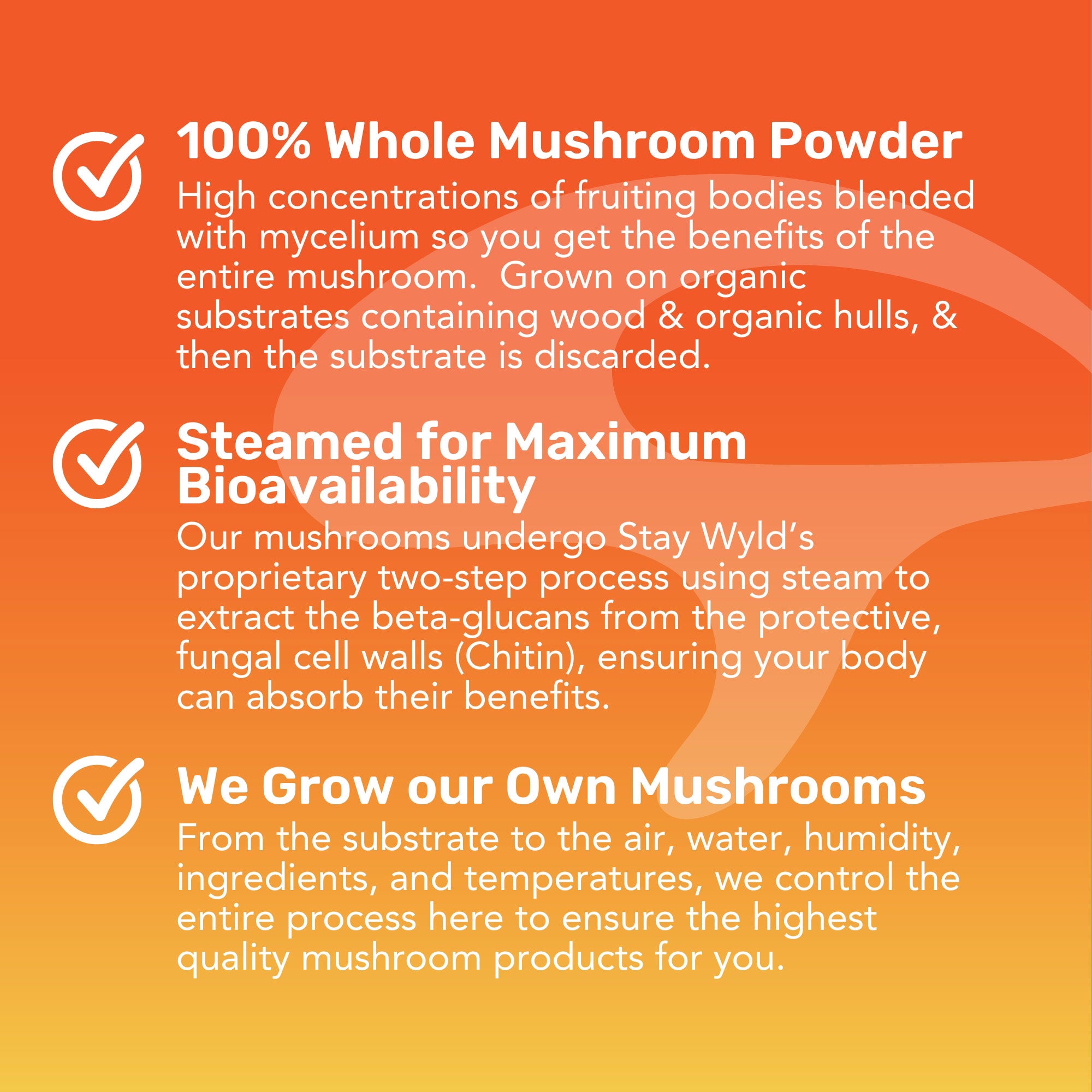 Super 7 Immunity Mushroom Gummies | 30 pack