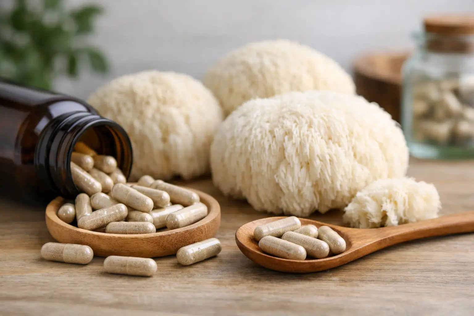 Organic Lion's Mane Mushroom Capsules Side Effects