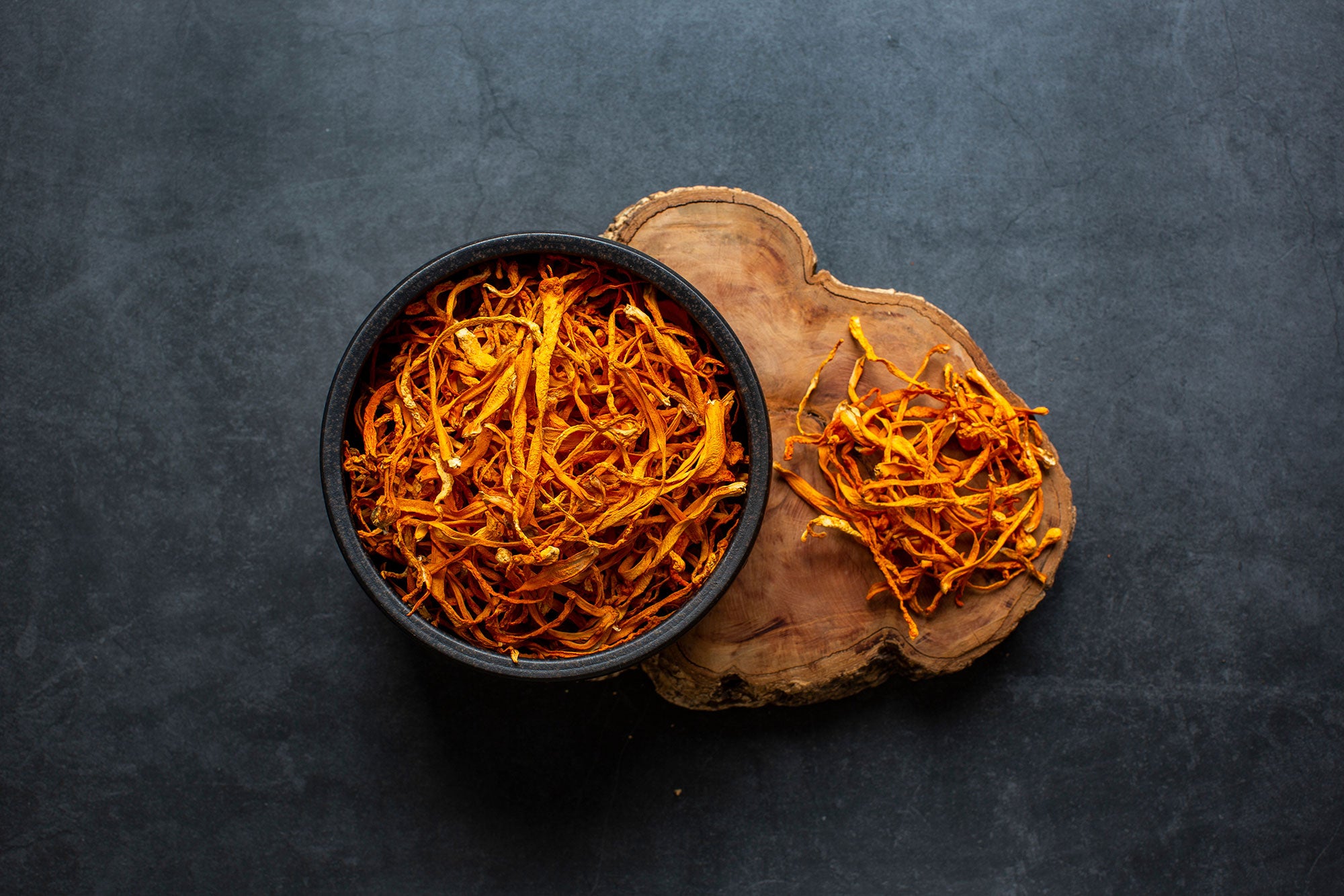Mushroom Learning Center: Cordyceps Mushroom