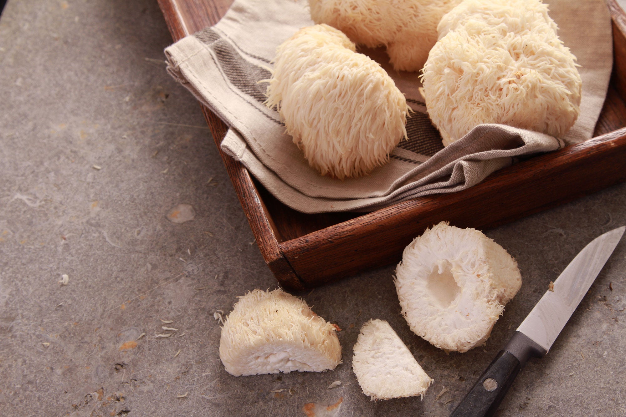 Mushroom Learning Center: Lion's Mane