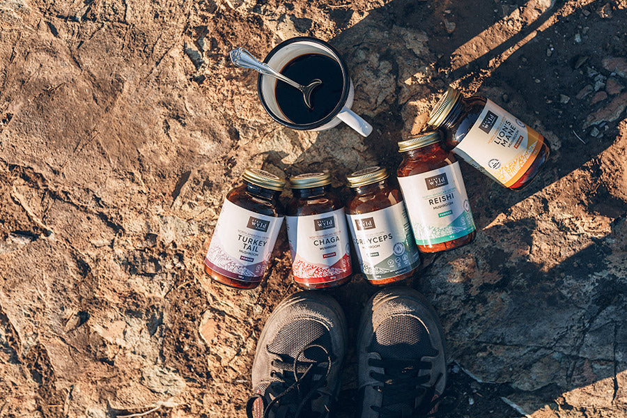 Anna Lengstrand's Chaga Cowboy Coffee