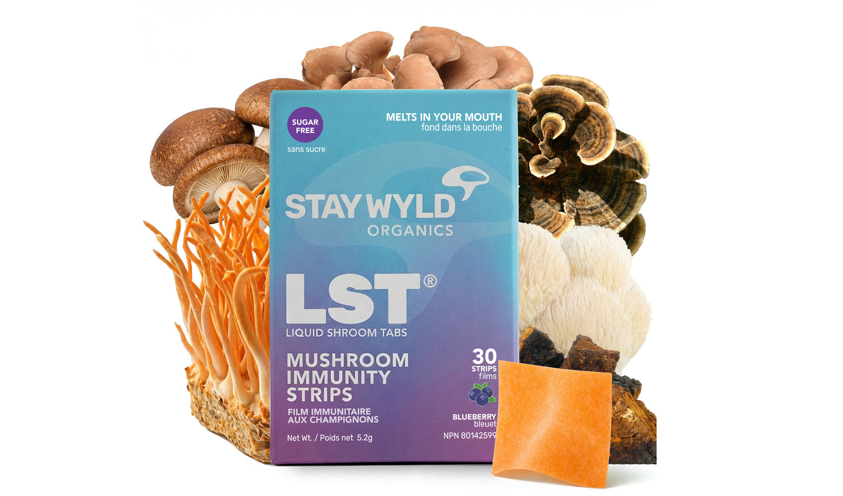 How Long Do Mushrooms Take To Work?