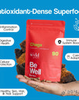 Gélules de champignon Chaga