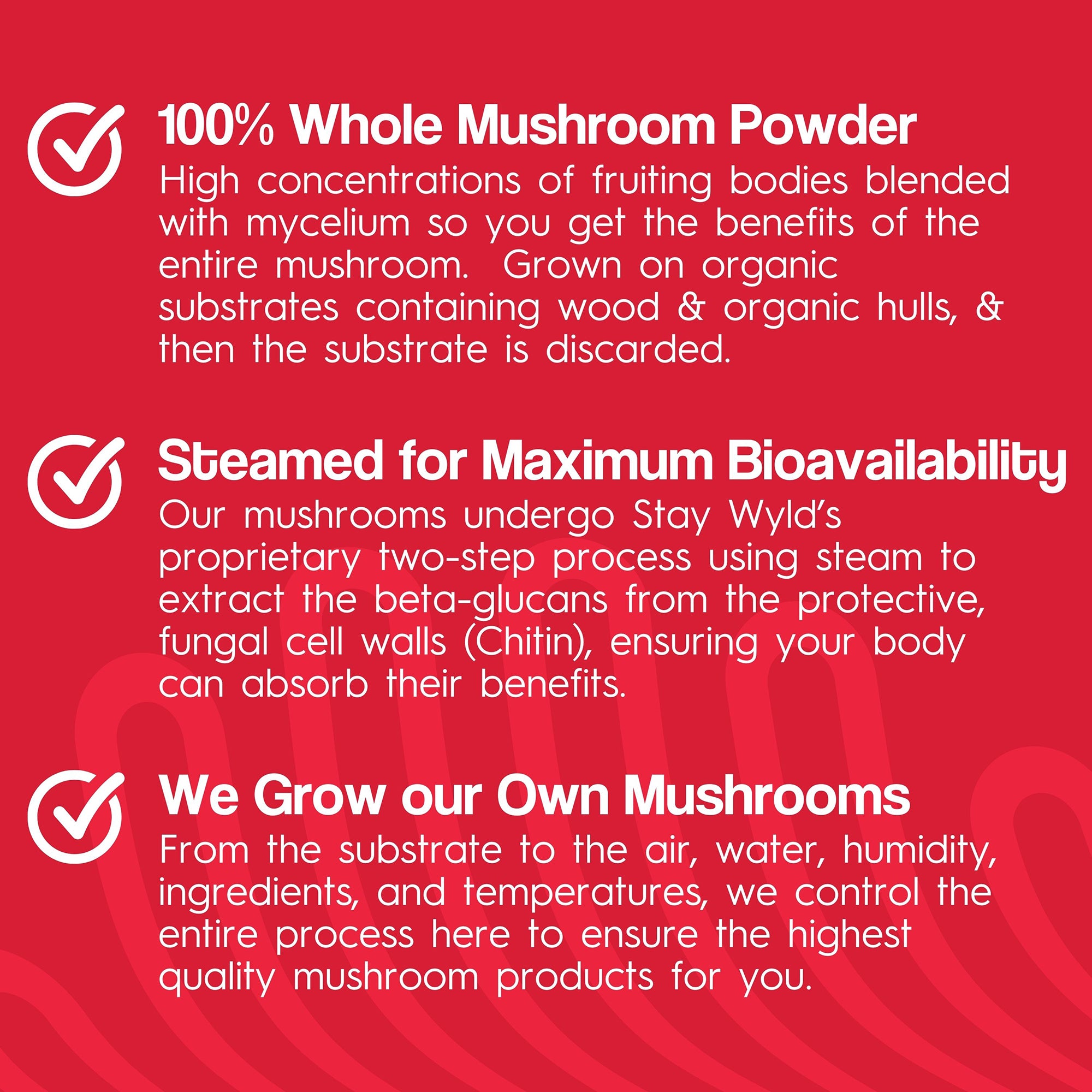 Gélules de champignon Chaga