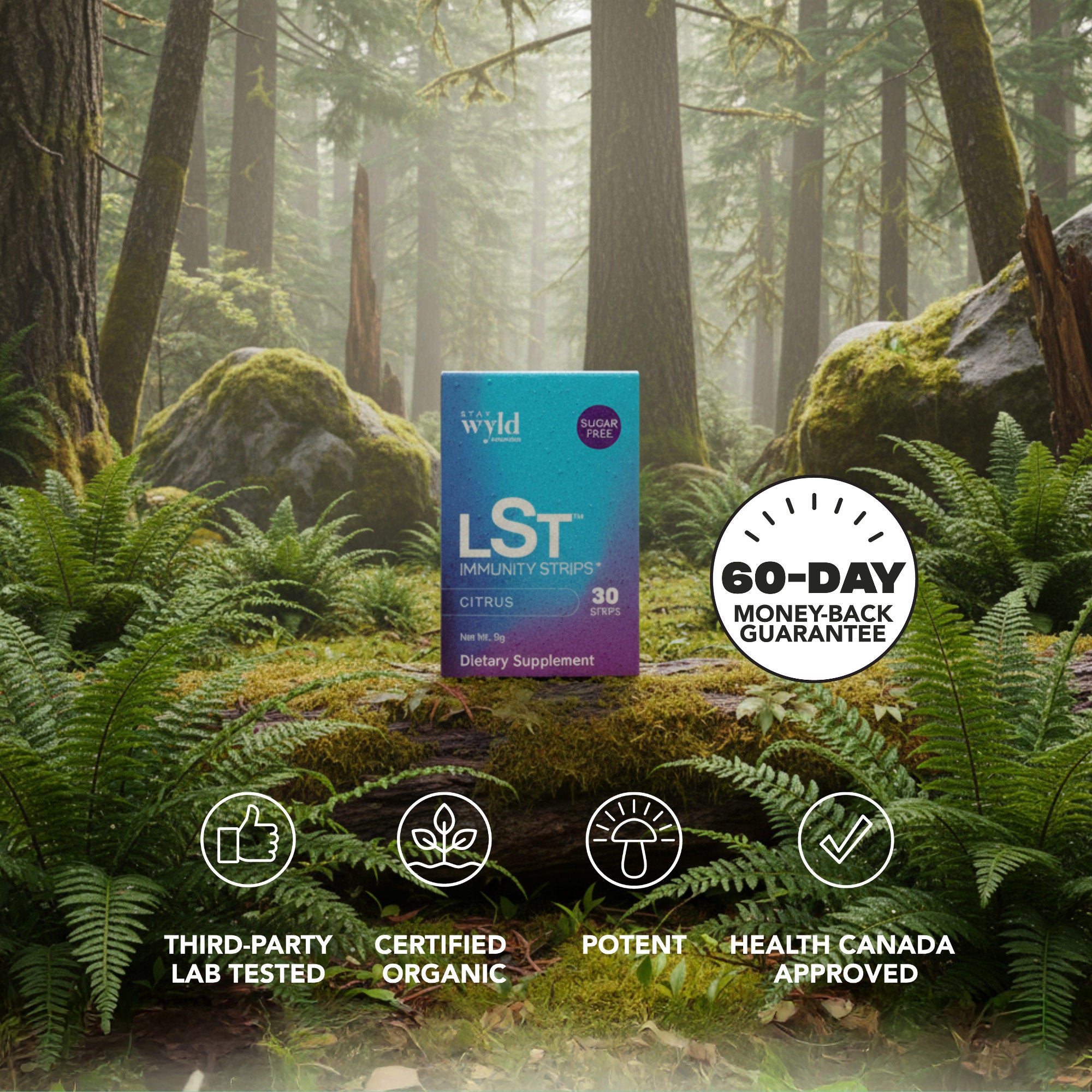 Energy x Immunity Strip Bundle