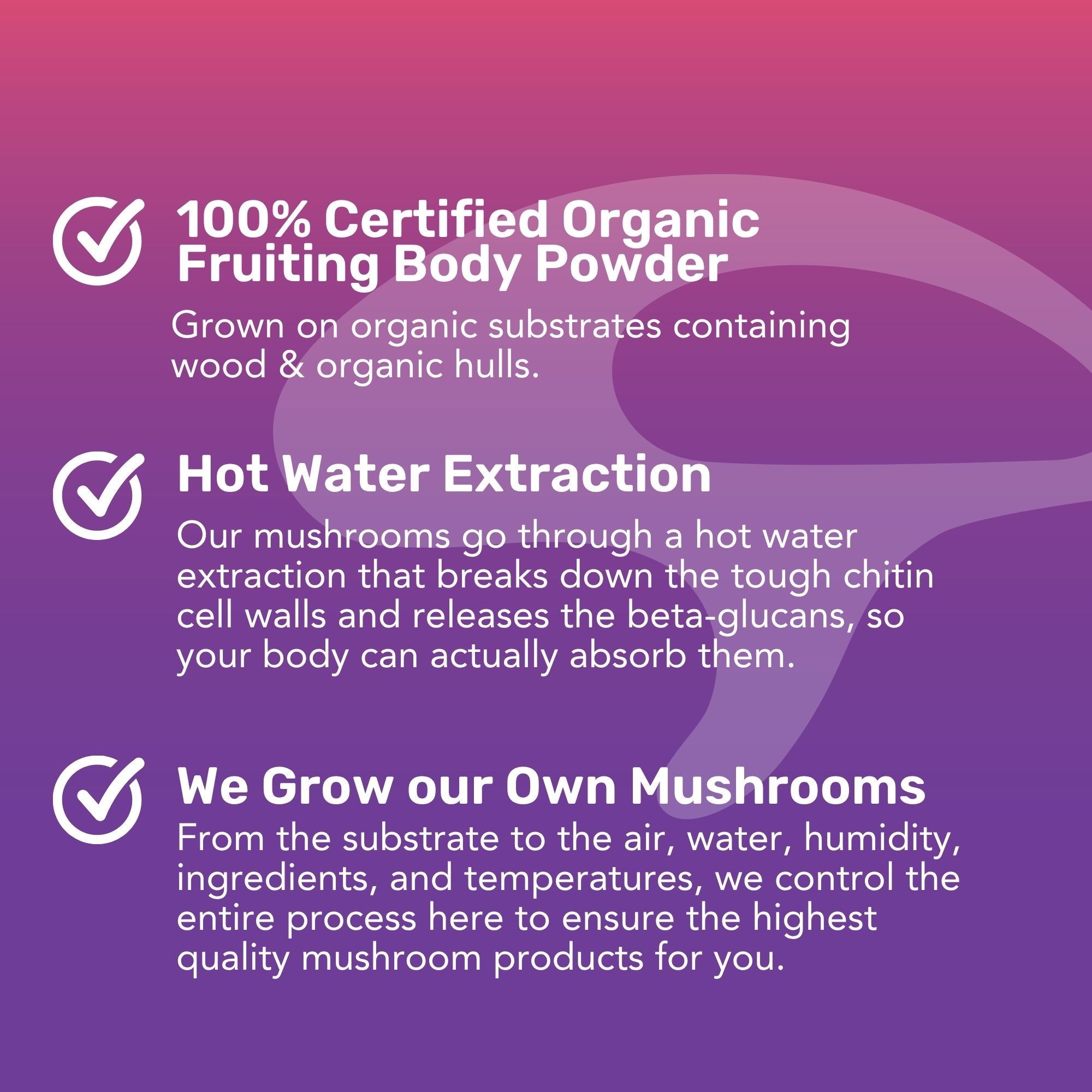 LST : Thé liquide aux champignons