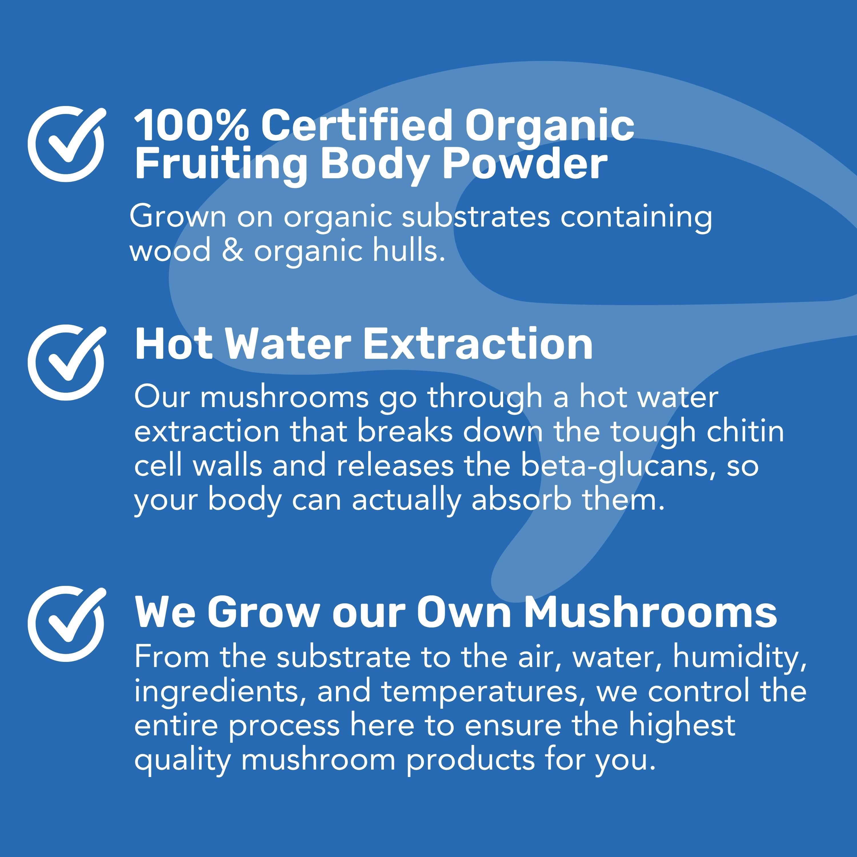 Beginner Mushroom Bundle | 30% Bundle Savings