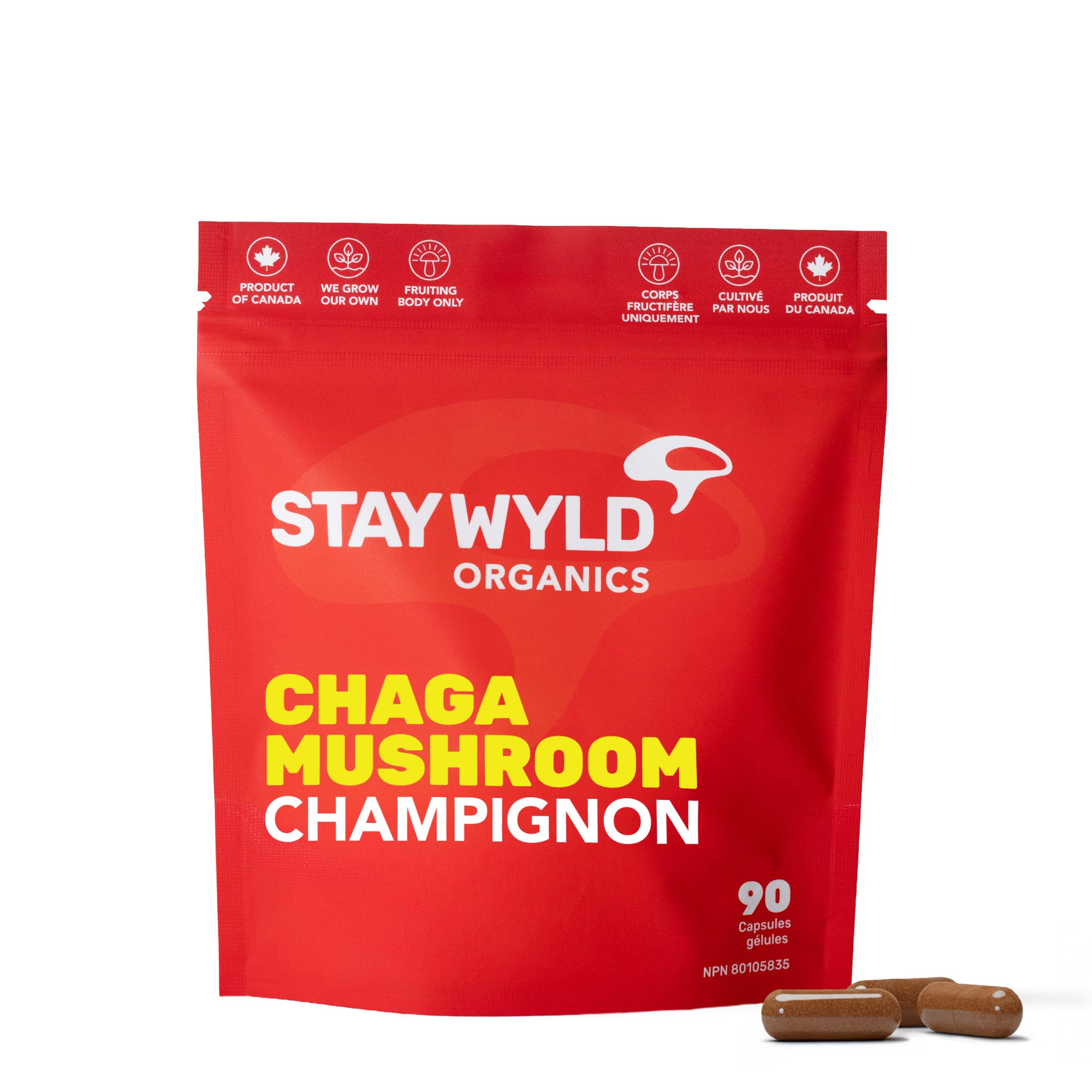 Gélules de champignon Chaga