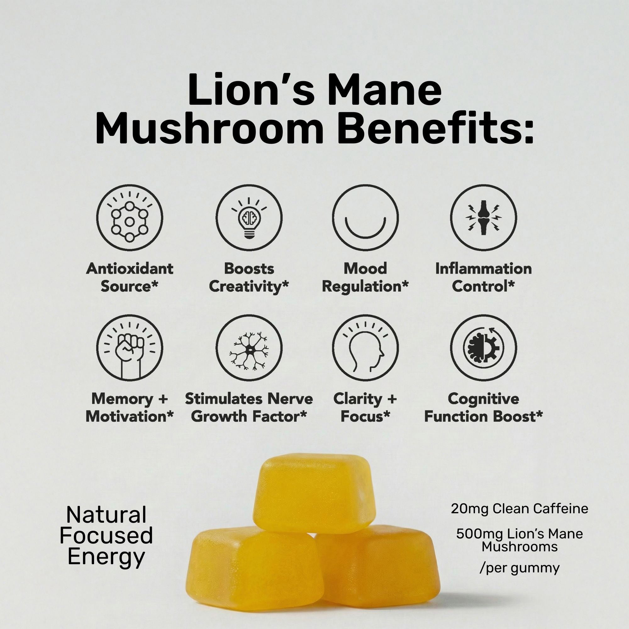 Focused Energy Gummies | 20 pack