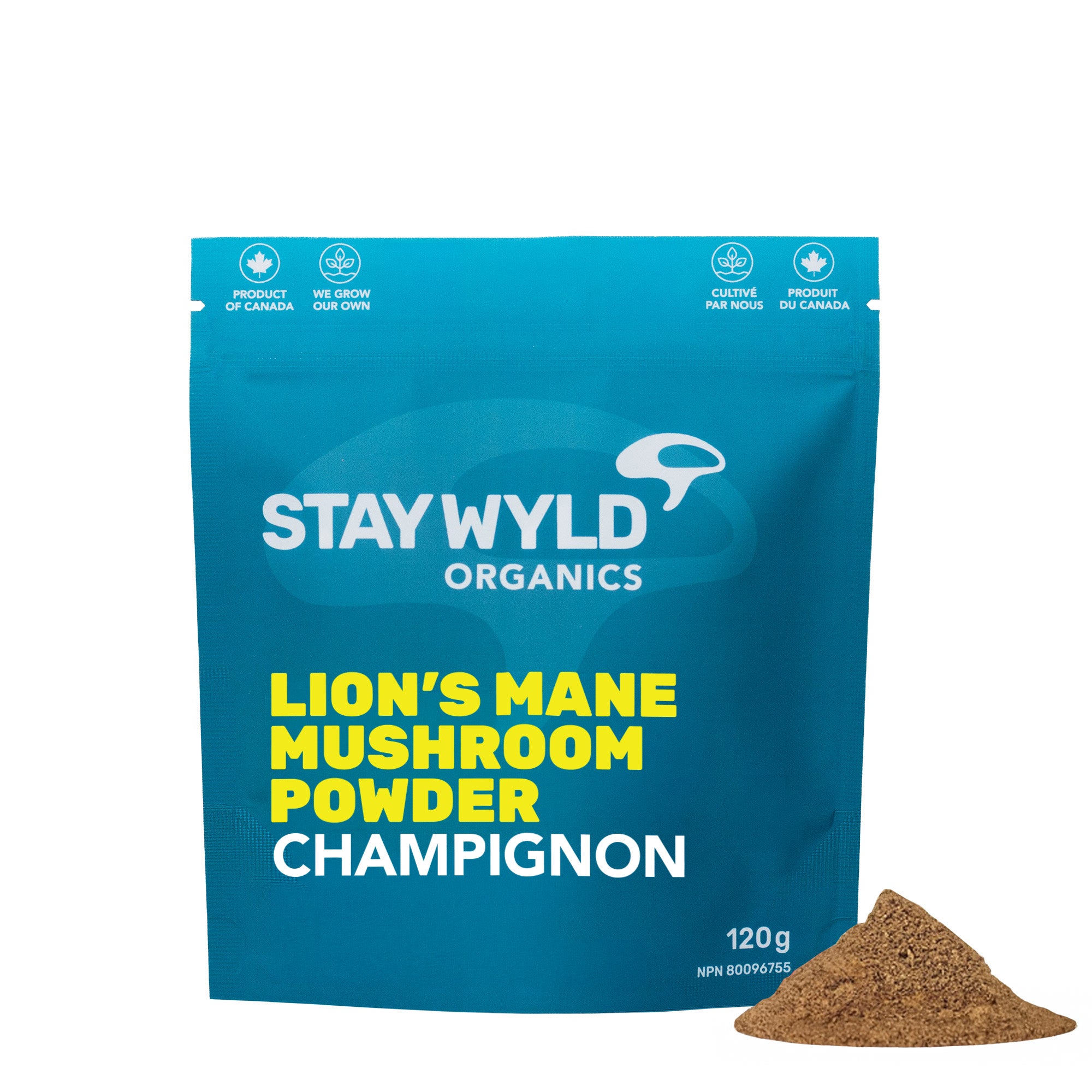 Poudre de champignon crinière de lion