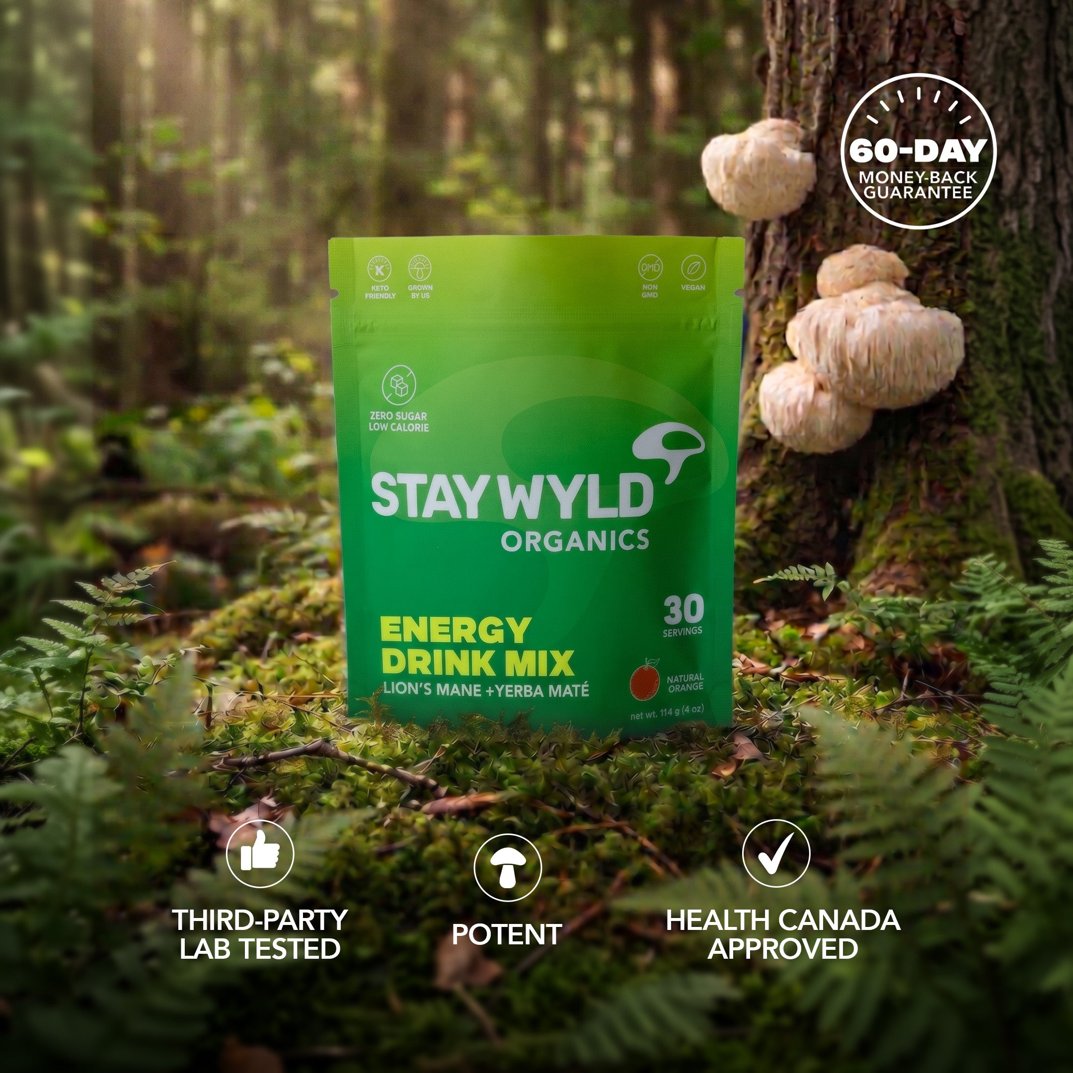 LST : Thé liquide aux champignons