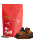 Gélules de champignon Chaga