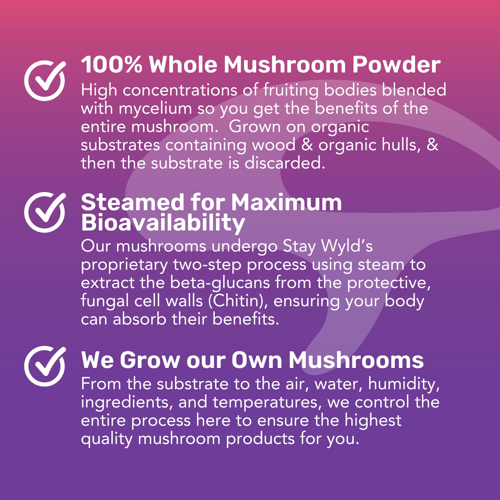 LST : Thé liquide aux champignons