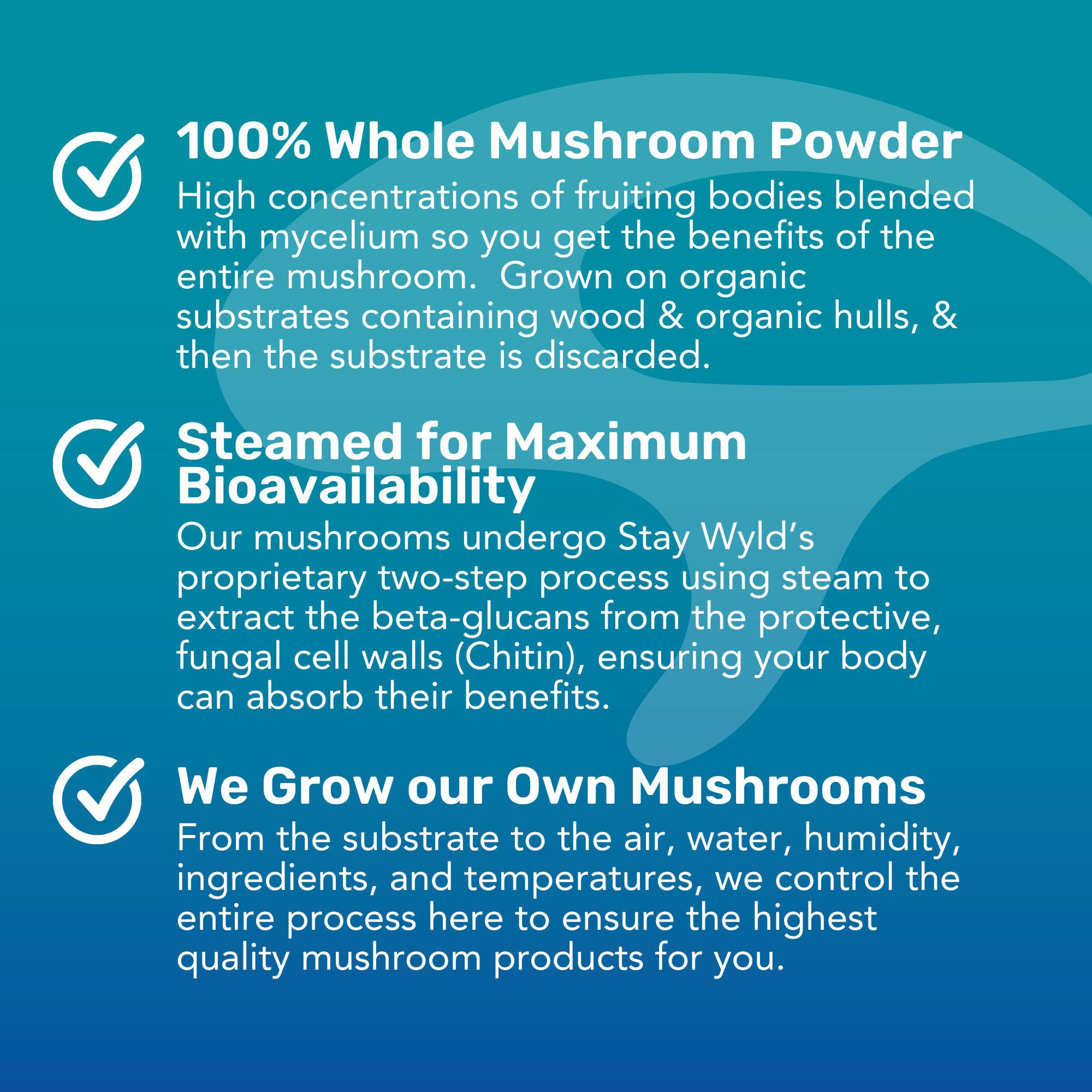 LST : Thé liquide aux champignons